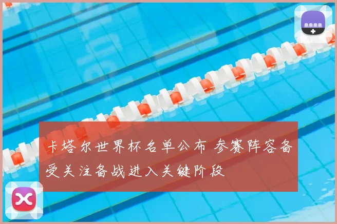 卡塔尔世界杯名单公布 参赛阵容备受关注备战进入关键阶段
