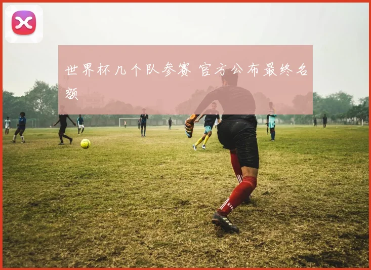 世界杯几个队参赛 官方公布最终名额