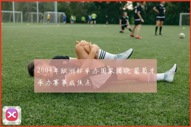 2004年欧洲杯举办国家揭晓 葡萄牙承办赛事成焦点